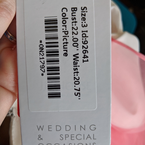 **JJs House** Watermelon Satin Knee-length Flower Girl Dress! - Picture 4 of 7